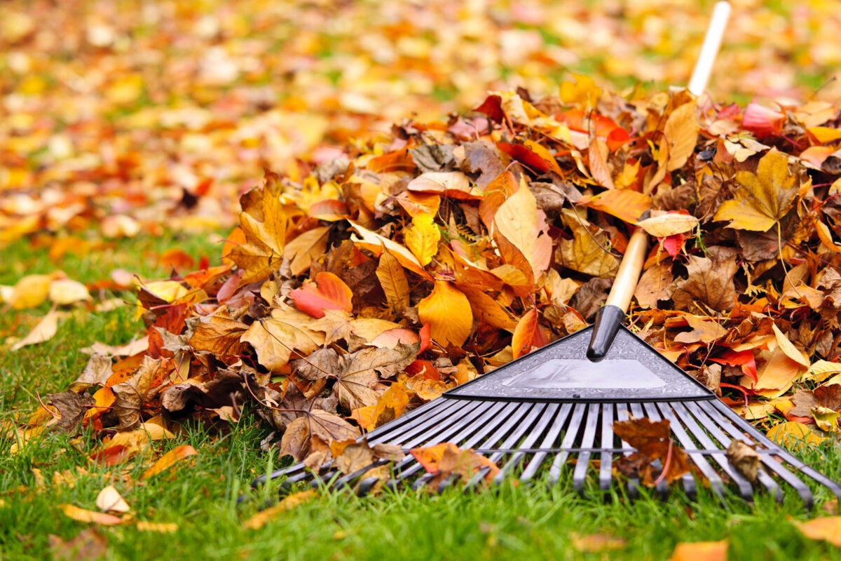 How to Winterize Your Yard in Autumn Noah Garden Rooms